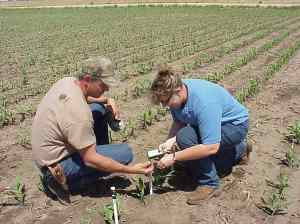 Those wishing to participate in the program receive assistance installing equipment and education on how to read the equipment.