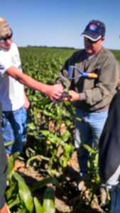 IMG_20140613_093836_936