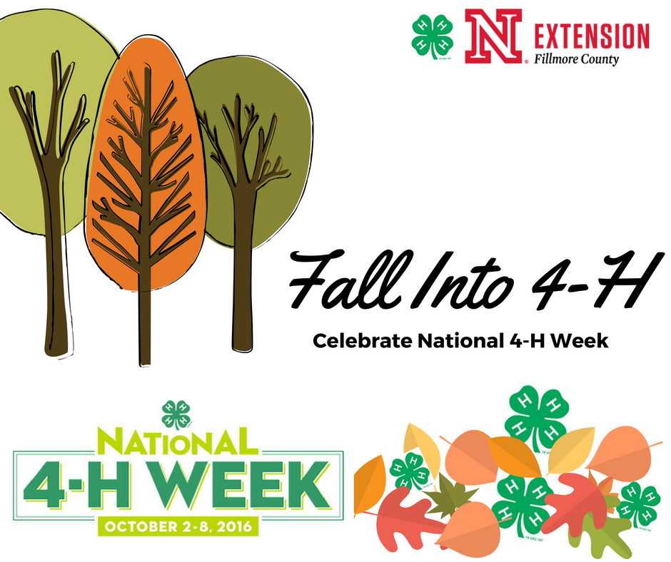 fall4-h