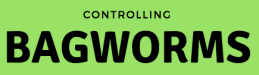 bagworm.png