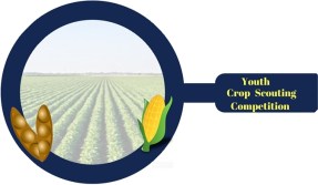 Crop Scout Design (1)