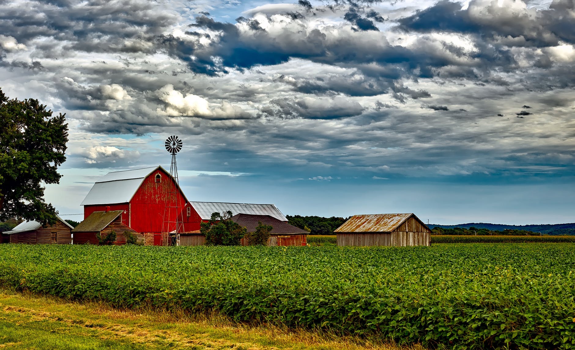 houses in farm against cloudy sky