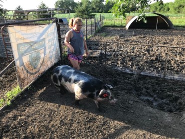 UNADJUSTEDNONRAW_thumb_851e