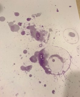 CBD83E1B-9F88-4378-82FB-F8A0DD5620AA_1_105_c