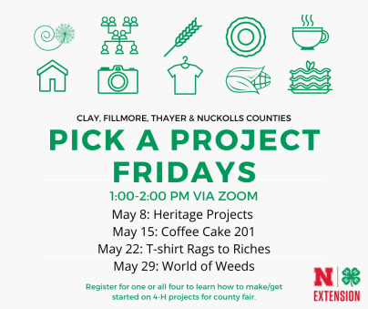 Pick a Project Fridays Square_EDIT.png