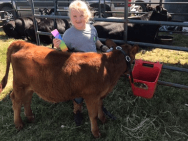 Screen Shot 2020-07-17 at 9.57.48 AM