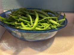 61818829468__014FC3C2-BB22-4A81-BF8C-7B8E11ADCFA5